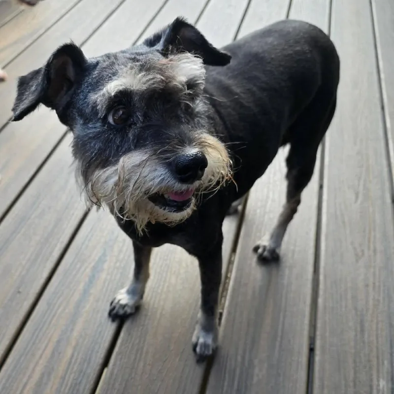 Trudy thumbnail 2