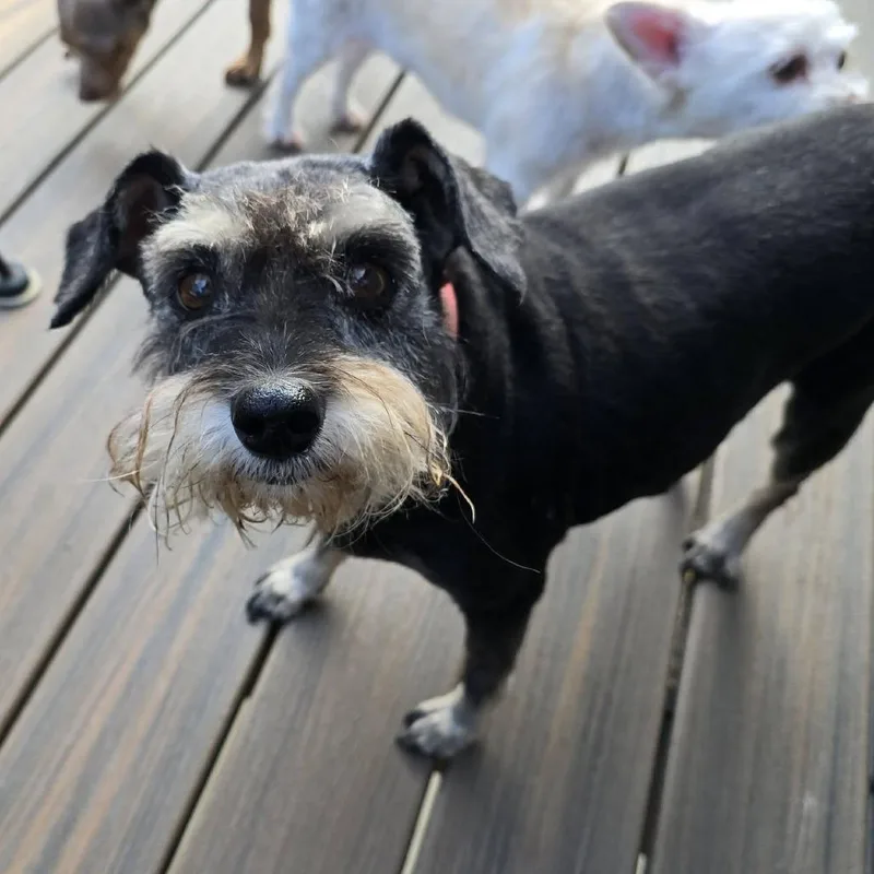 Trudy thumbnail 3