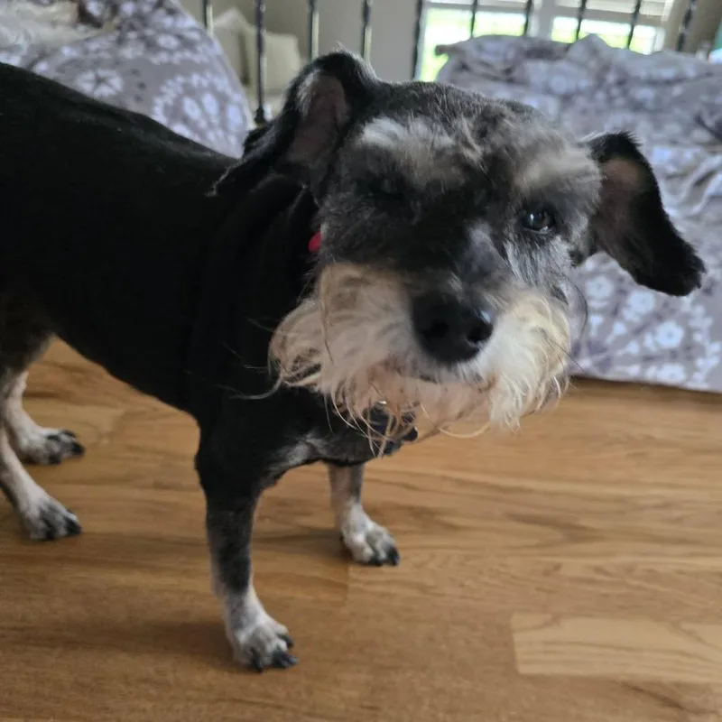 Trudy thumbnail 5