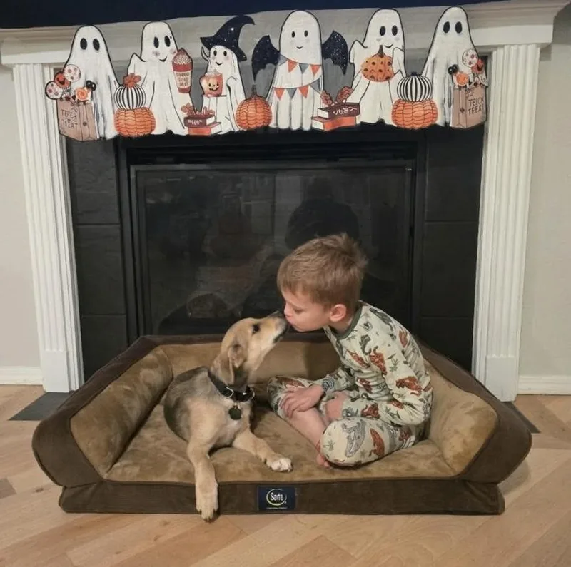 Toodles thumbnail 3