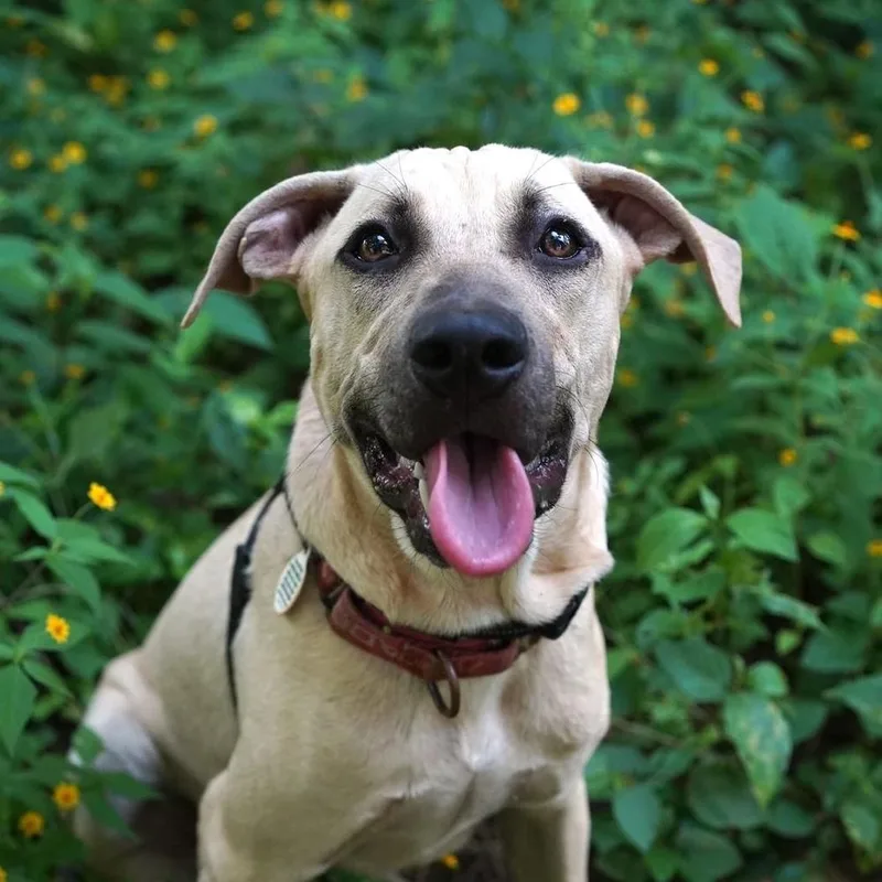 Stockholm  Money Heist