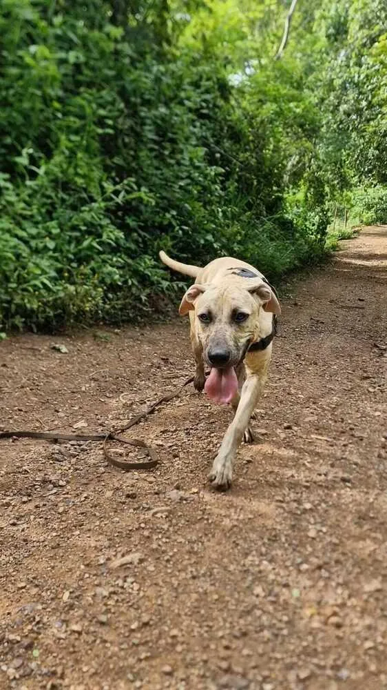 Stockholm  Money Heist thumbnail 3