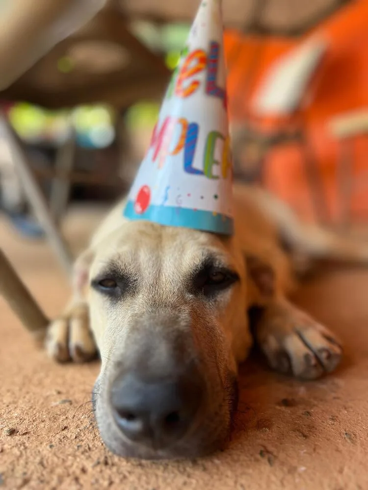 Stockholm  Money Heist thumbnail 4