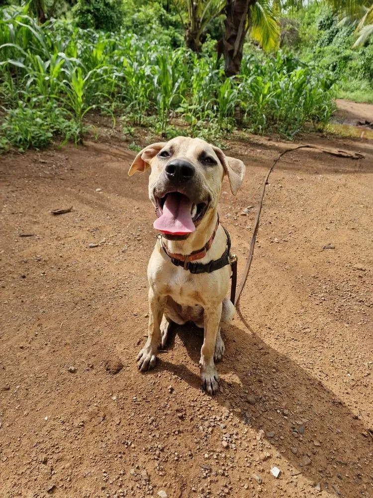 Stockholm  Money Heist thumbnail 5