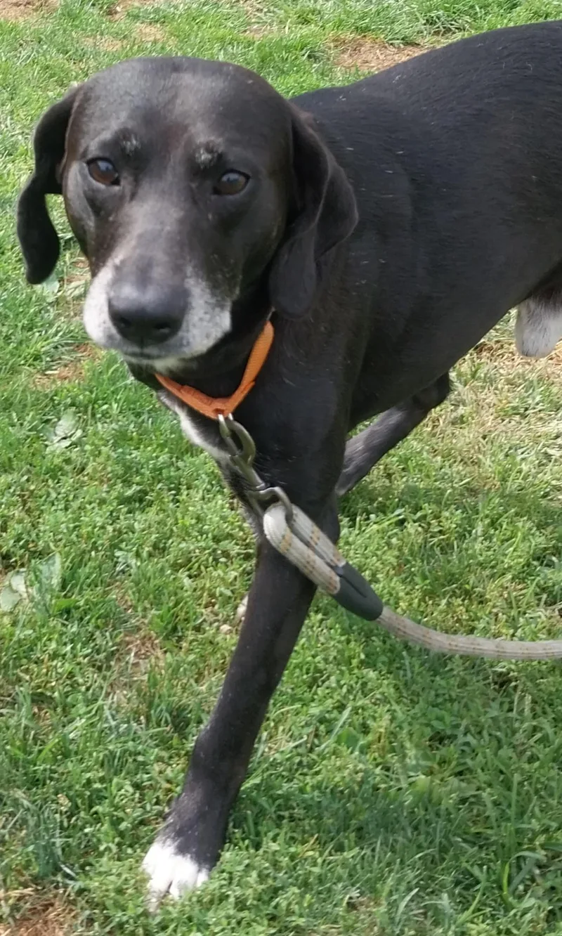 Sam