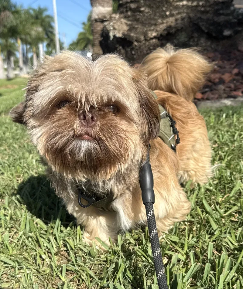 Paco