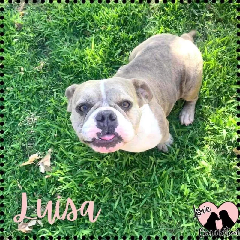 Luisa thumbnail 2