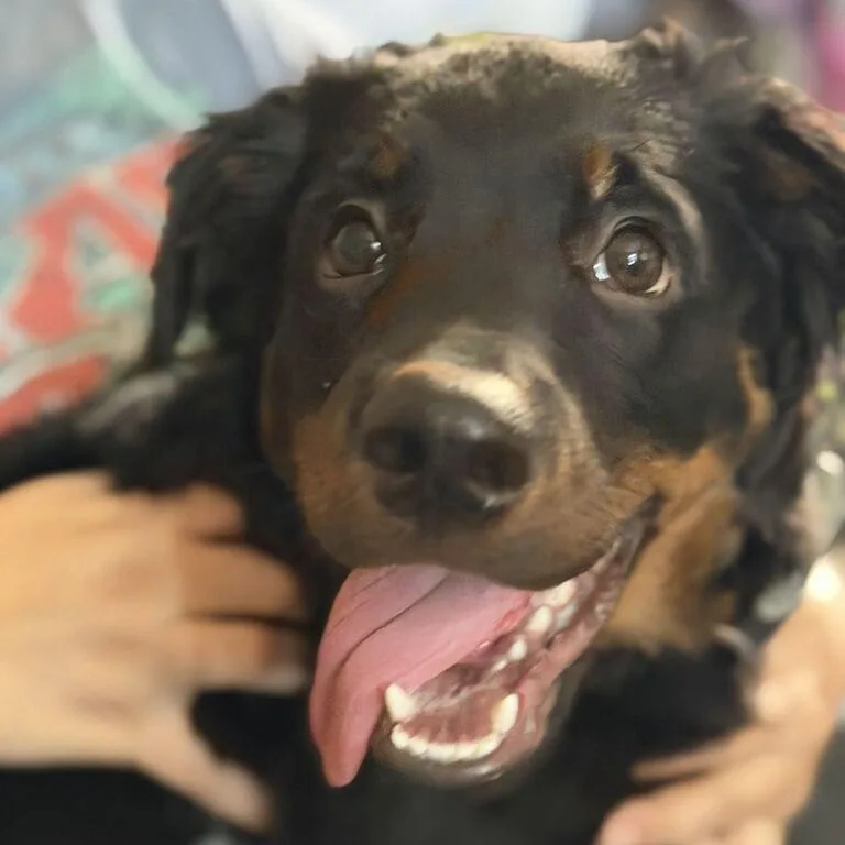 Lola Lou thumbnail 5