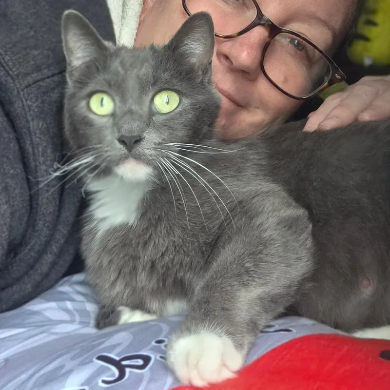 Valentine thumbnail 2