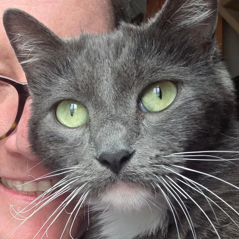 Valentine thumbnail 5