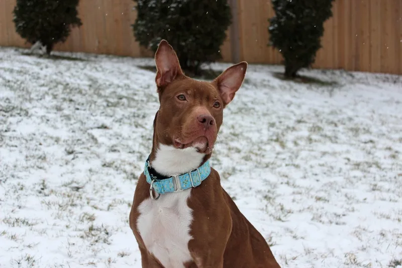 Francine thumbnail 2