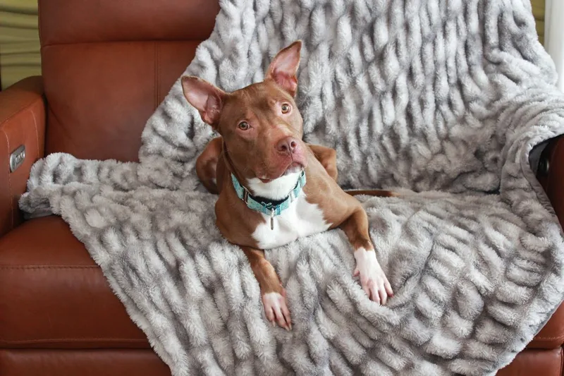 Francine thumbnail 3