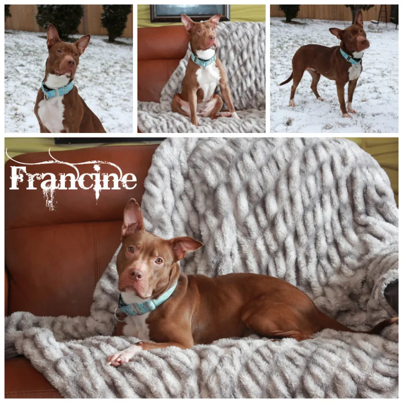 Francine thumbnail 4