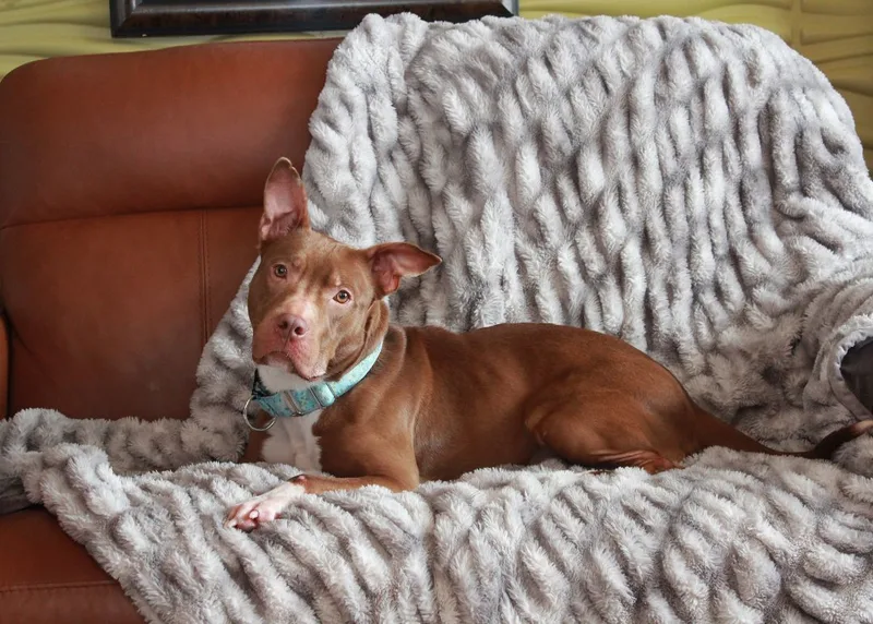 Francine thumbnail 5