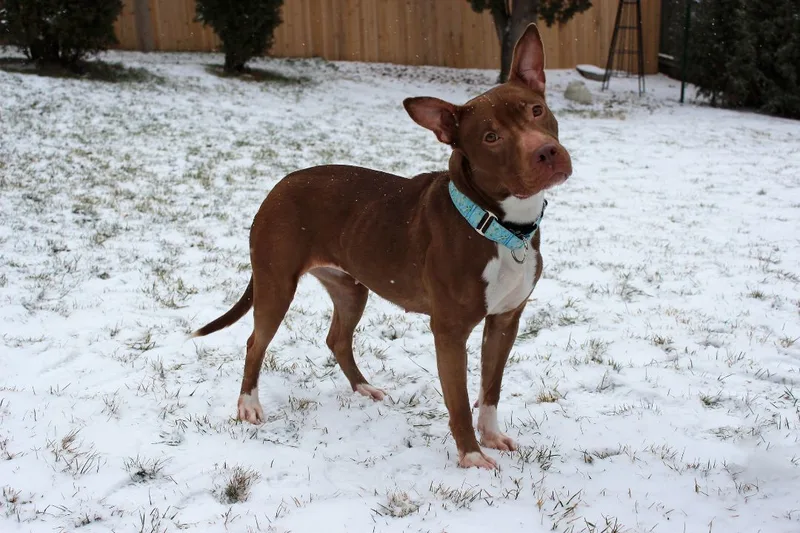 Francine thumbnail 6