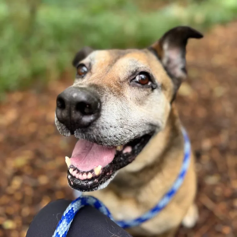 Sarah Ribbons thumbnail 2