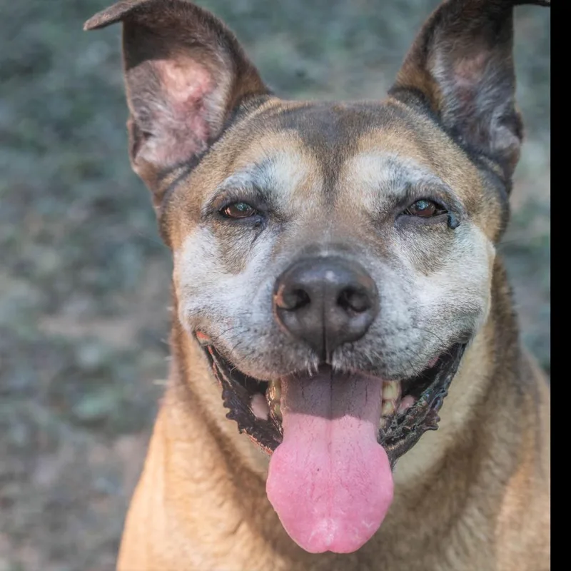 Sarah Ribbons thumbnail 3