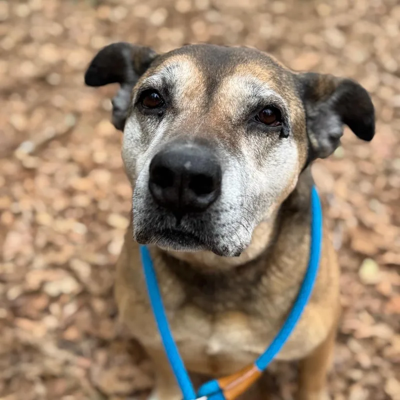 Sarah Ribbons thumbnail 6