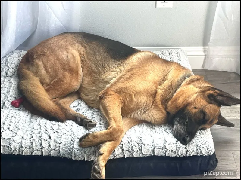 Courtesy Listing: Betty Spaghetti thumbnail 2