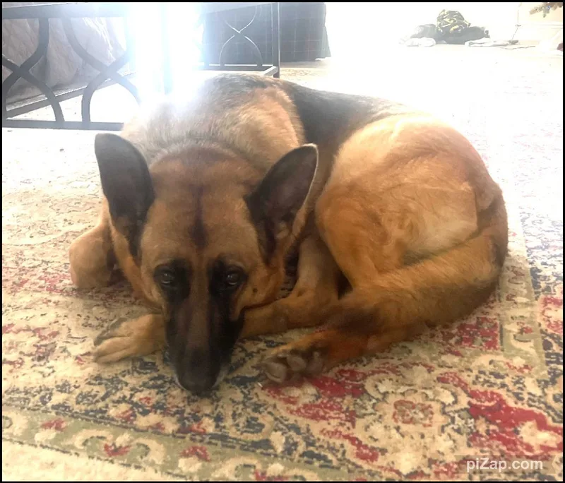 Courtesy Listing: Betty Spaghetti thumbnail 4