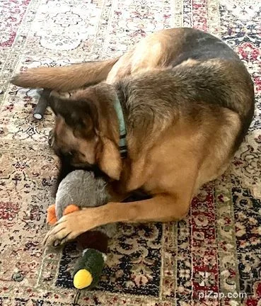 Courtesy Listing: Betty Spaghetti thumbnail 5