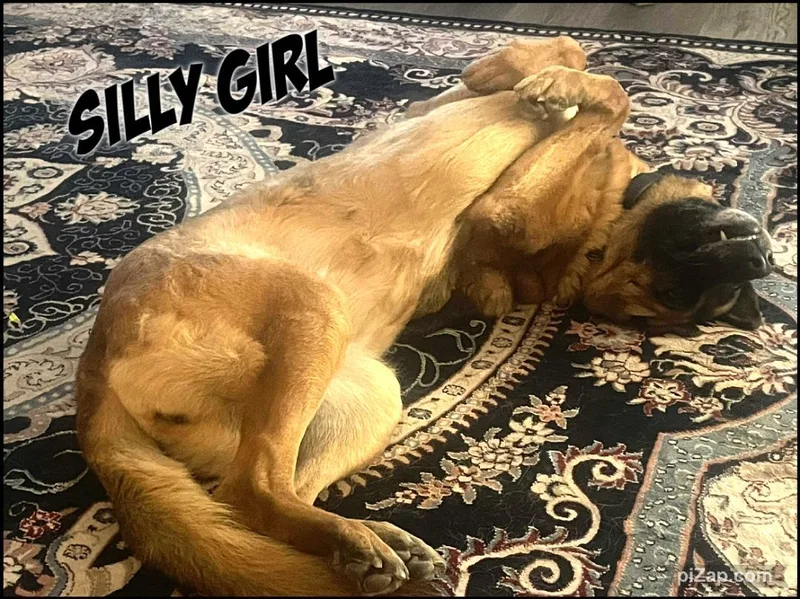 Courtesy Listing: Betty Spaghetti thumbnail 6