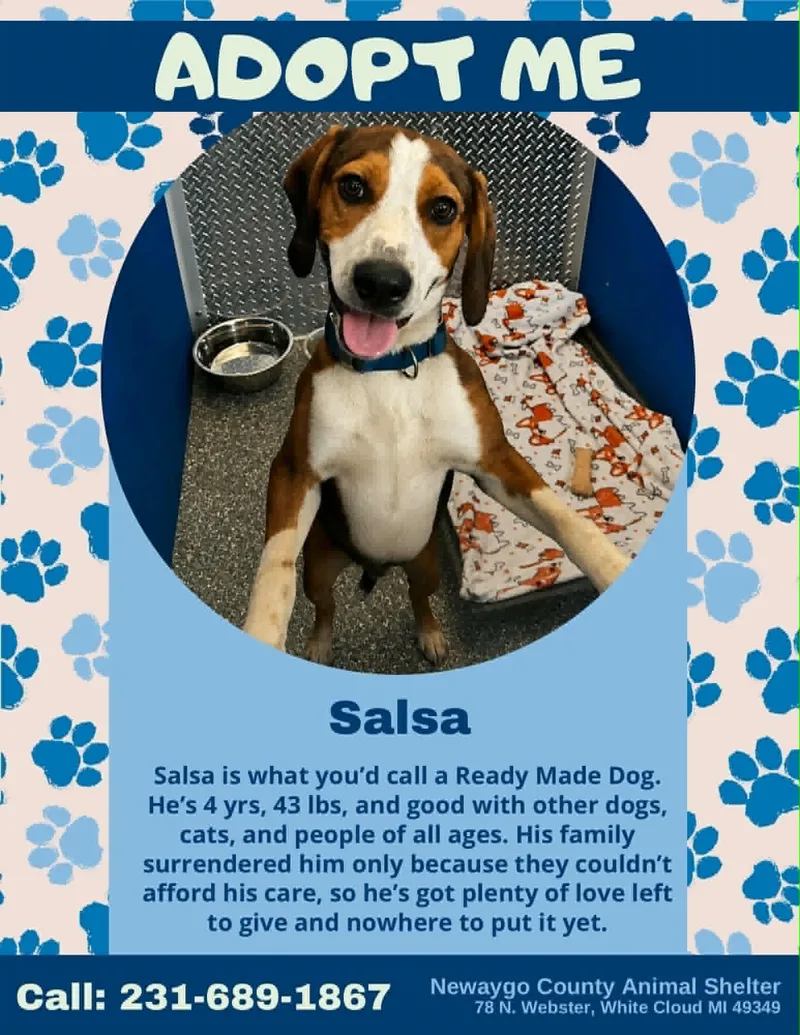 Salsa