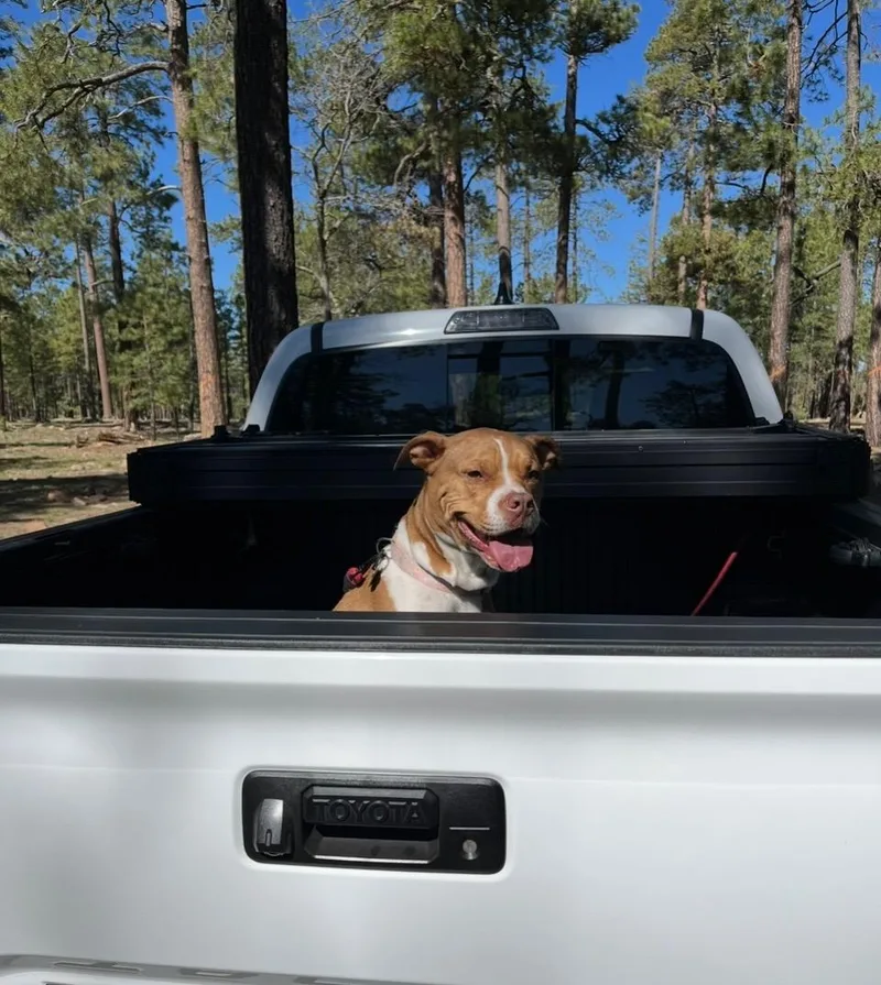 Maple & Pixie thumbnail 2