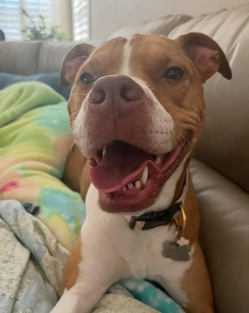 Maple & Pixie thumbnail 3