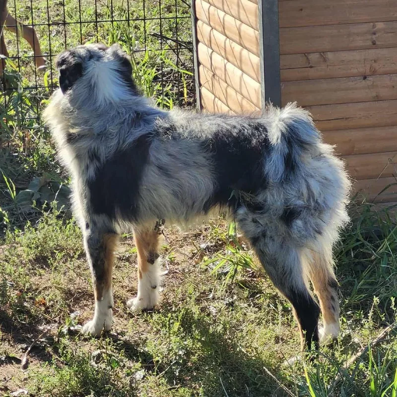 King Zeus thumbnail 2