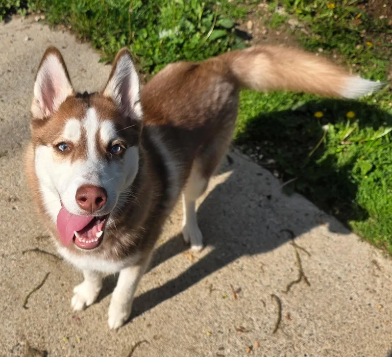 Bella thumbnail 2