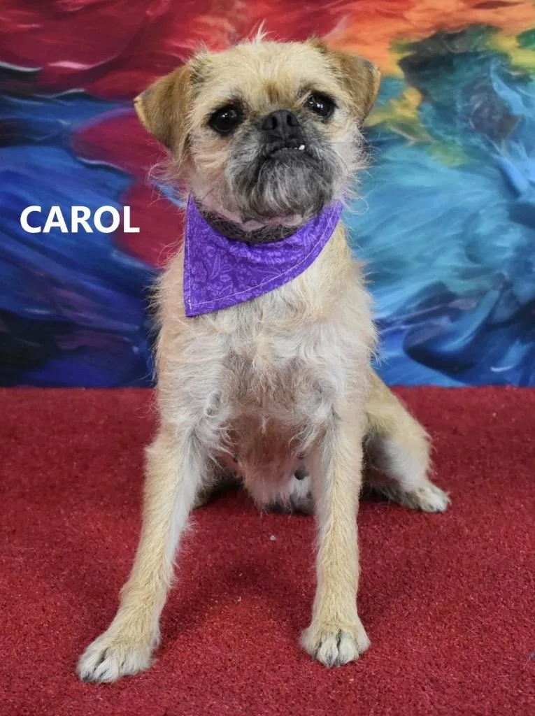 Carol