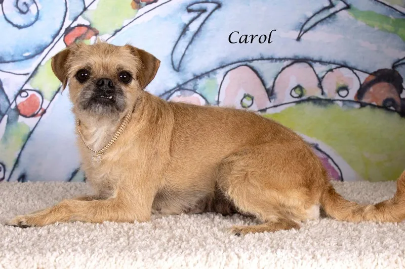 Carol thumbnail 2