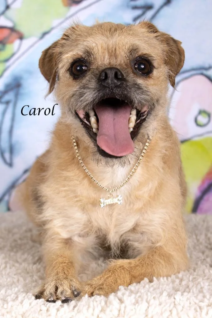 Carol thumbnail 3
