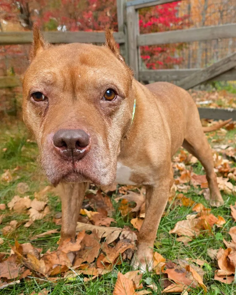 Mr. Wonderful thumbnail 3