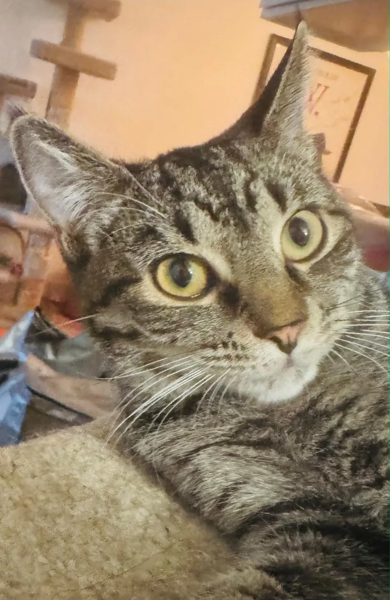 Ophelia And Oskar; Bonded thumbnail 2