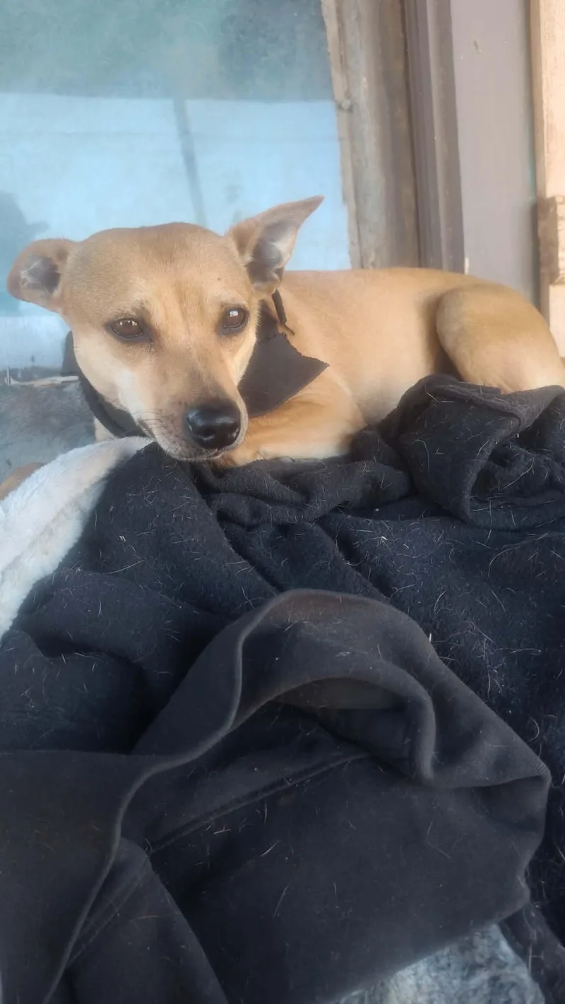 Little Hazel thumbnail 5