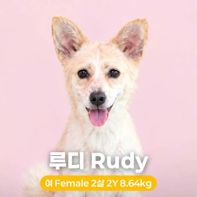 Rudy thumbnail 6