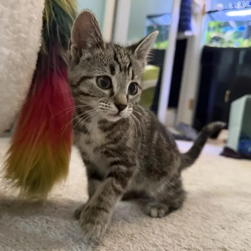 Matilda