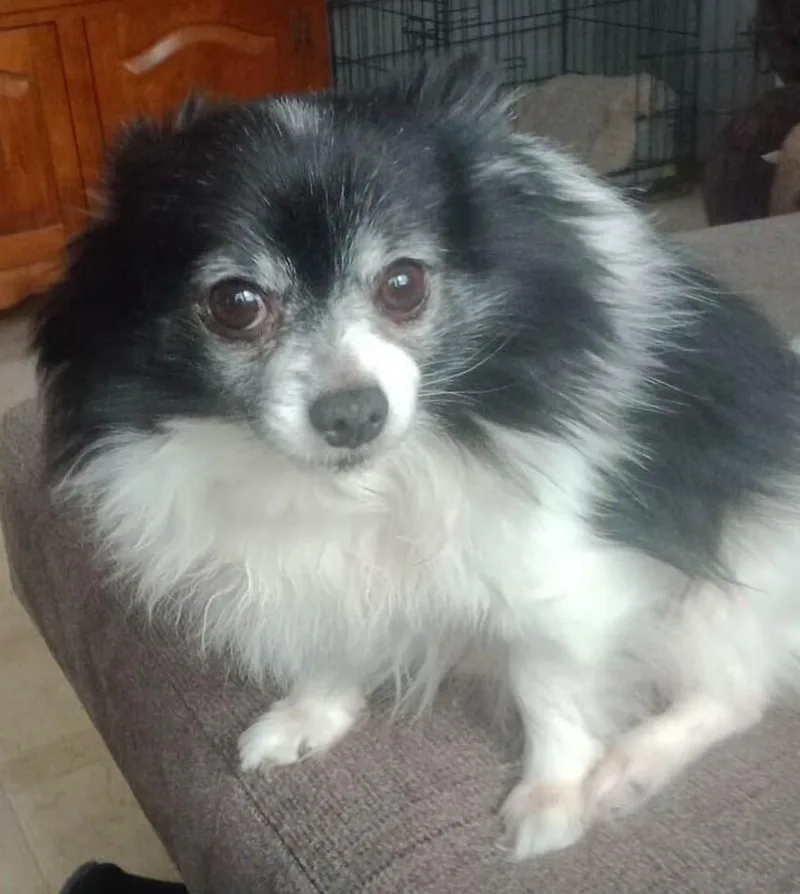 Little Bear thumbnail 2