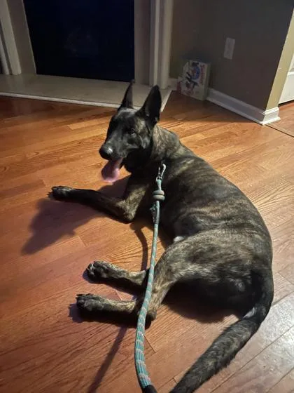 Kingsman thumbnail 3