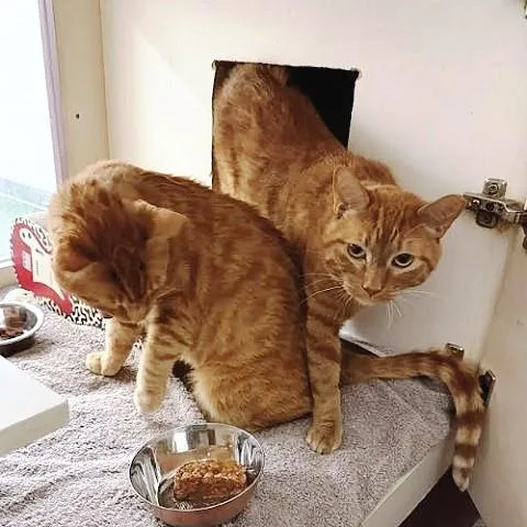 Bruce And Robert thumbnail 2