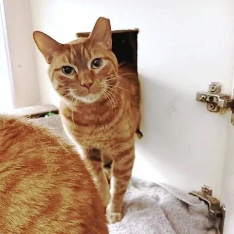 Bruce And Robert