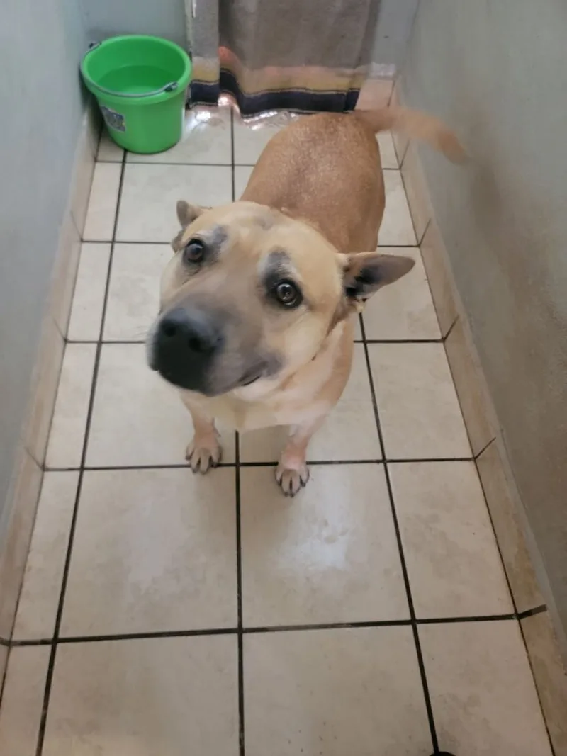 Maverick thumbnail 2