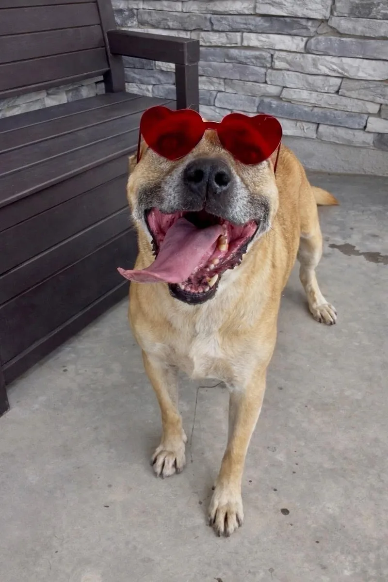 Maverick thumbnail 3