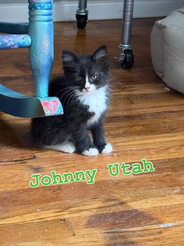Johnny Utah