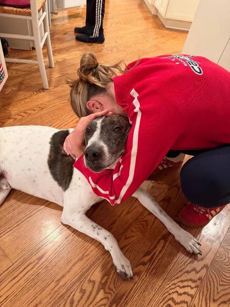 Scrappie  Local thumbnail 5