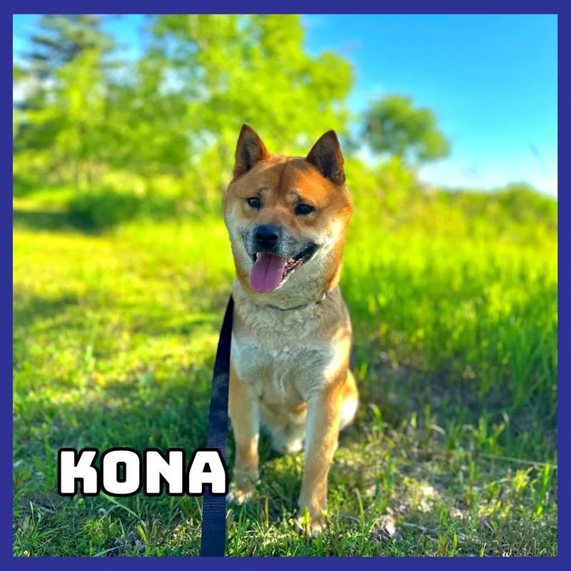 Kona thumbnail 2