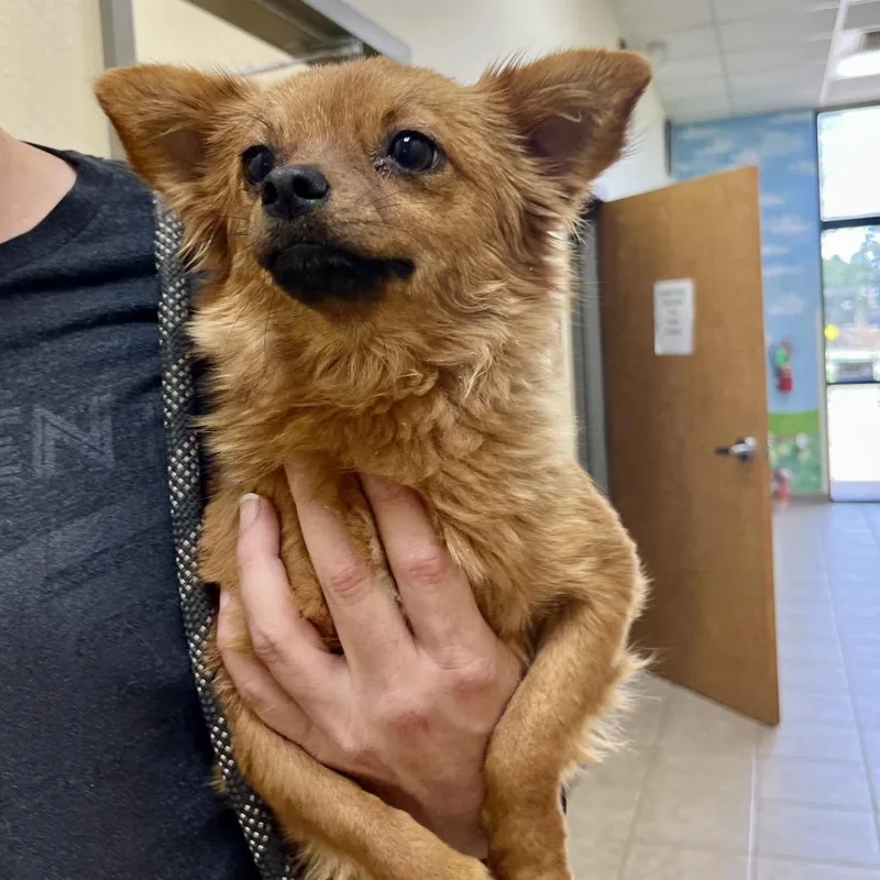 Sunshine thumbnail 2