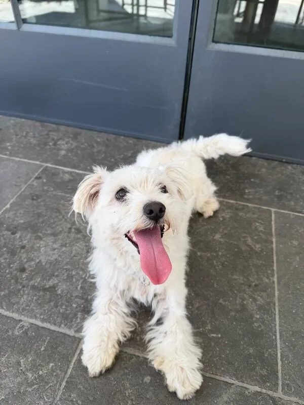 Hamilton thumbnail 2